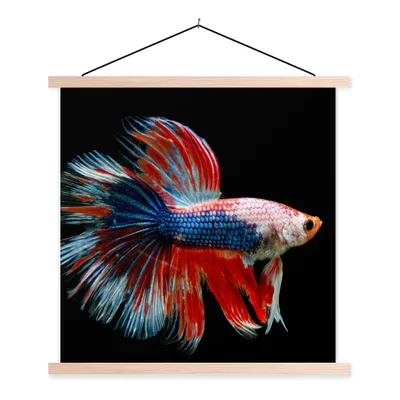 Produktbild von MuchoWow® Textilposter Fisch - Meerestier - Schwanz - Blau 40x40 cm mit holzfarbenen Rahmen - Posterleiste