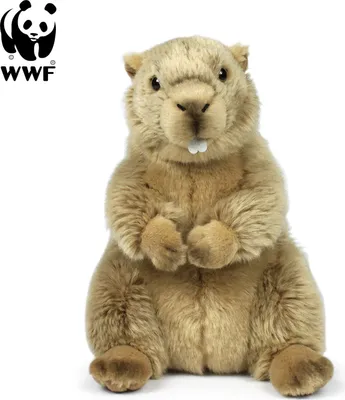 A stuffed toy marmot with the WWF logo in the top left corner.