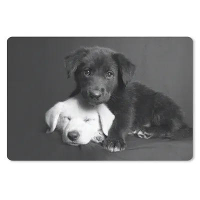Produktbild von MuchoWow® Mauspad Mousepad Hunde - Welpe - Schwarz - Weiß - Tiere 27x18 cm - Mousepads - Maus Mat - Pad - Mausunterlage - Büroartikel - Desk Matten