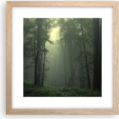 Produktbild von Gerahmtes Poster - Rahmen in heller Eiche - Wald Nebel Baum - 30x30 cm - Wand Bild - Wanddeko - Wandbilder - Kunstposter - Wandposter - Bilderrahmen - Bilder - Kunstdruck - Wandbild - P2NAC30x30-3543