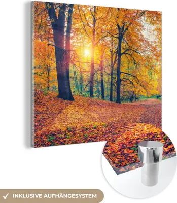 Produktbild von MuchoWow Glasbilder - Bilder auf Wandbild - Foto auf Glas Bäume - Herbst - Wald - Herbstliche Blätter 20x20 cm Wanddekoration aus Glas - Acrylglasbild - Acrylbilder - Bilder von Glas - Moderne
