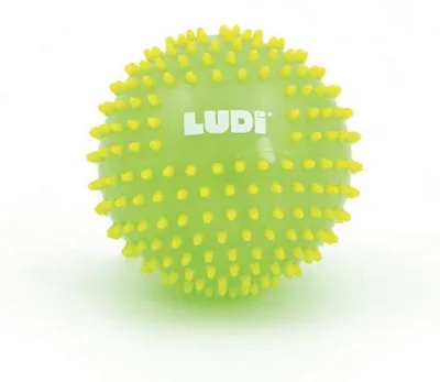 Produktbild von LUDI 30068, 0,5 Jahr(e)