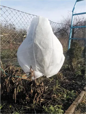 Immagine prodotto di Coperture Antigelo Per Piante 3 S