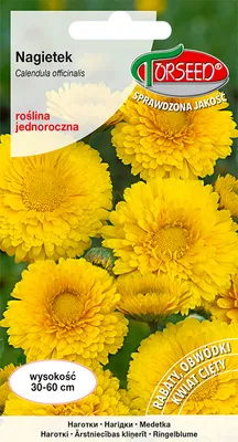 Produktbild von Strohgelbe Ringelblume Samen 3g - Torseed