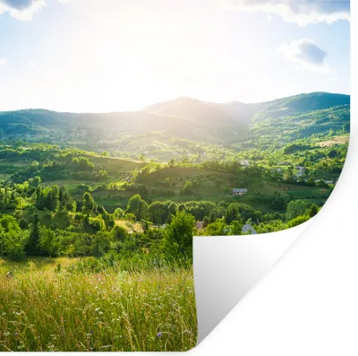 Produktbild von MuchoWow® Wandtattoo Wandsticker Wandaufkleber Wald - Landschaft - Sonne - Natur - Sonnenaufgang 50x50 cm Selbstklebend und Repositionierbar - Selbstklebend - Fototapeten