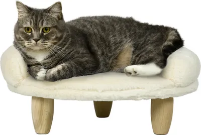 Zdjęcie produktu dla Sofa dla psa PawHut, legowisko dla psa, sofa dla zwierząt z podwyższoną konstrukcją, kanapa dla psa, sofa dla kota, krzesło dla psa z drewnianymi nogami, flanela, kremowy, 47 x 40 x 20 cm