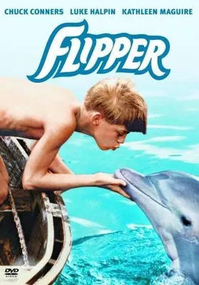 Produktbild von Flipper