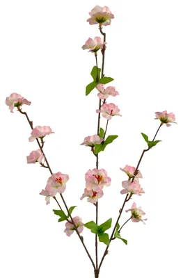 Produktbild von Künstlicher Kirschblütenzweig ca. 62cm PINK-ROSA