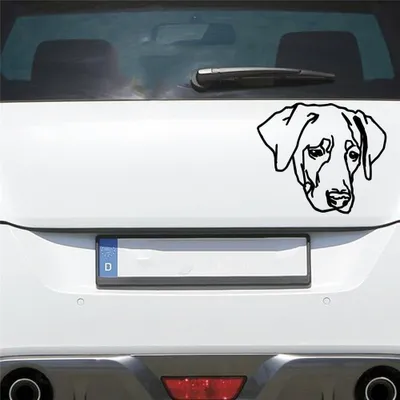 Produktbild von Auto Aufkleber Labrador LABI Labbi Hund Dog Hundekopf Hundefreund 15x13 cm Schwarz Matt Sticker Heckscheibenaufkleber