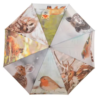 Regenschirm-Winter-Motive-automatik