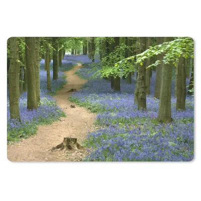 Produktbild von MuchoWow® Schreibtischunterlage Wald - Weg - Blumen - Blau 60x40 cm - XXL Mauspad - Großes Mauspad