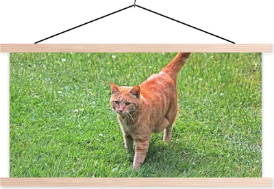 Produktbild von MuchoWow® Textilposter Katze - Rot - Katze - Mädchen - Kinder - Jungen - Kind 60x30 cm mit holzfarbenen Rahmen - Dekoration