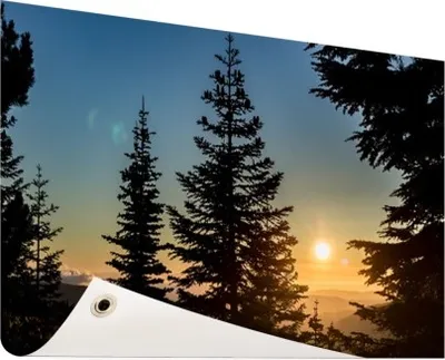 Produktbild von Gartenposter - 60x40 cm - Sonnenaufgang Nationalwald  - Modernes Wandbilder - Natur