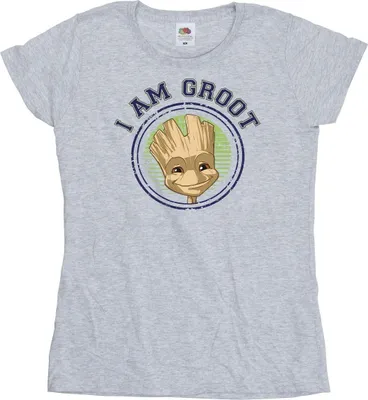 Produktbild von Guardians Of The Galaxy - T-Shirt für Damen BI22518 (XXL) (Grau)