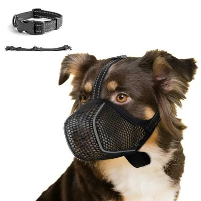 Imagen del producto de Bozal transpirable para perros - Antimordeduras para perros grandes (XL)
