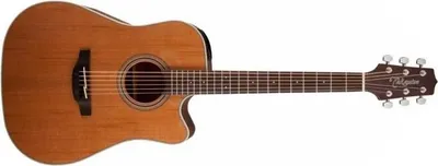 Obrázok produktu pre Takamine GD20CE-NS