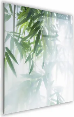Zdjęcie produktu dla OBRAZ NA SZKLE KWADRATOWY 70x70cm 118 Zamglone liście II