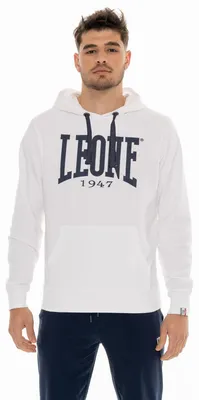 Produktbild von Herren-Hoodie mit großem Logo
