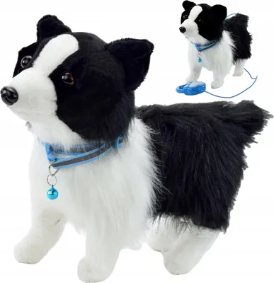 A plush toy dog with a collar and bell, and a smaller version of the same toy in the background with a leash and controller.