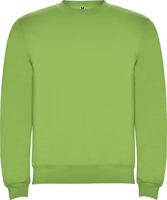 Productafbeelding van Roly - "Clásica" Sweater met ronde hals, uni, voor heren/dames, model PF4342 (maat S) (Oasegroen)