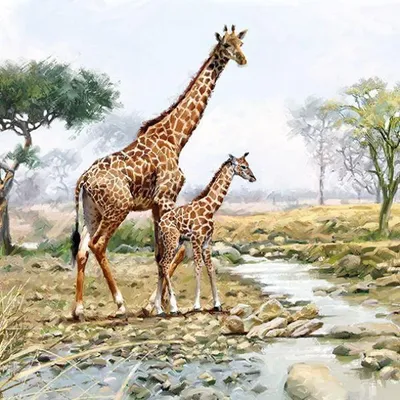 Produktbild von RP 20 Servietten Giraffes - Giraffenfamilie am Fluss 33x33cm