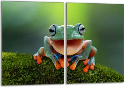 Imagen del producto de Placa de vidrio protectora para cocina, 2x40x52, marca Žába