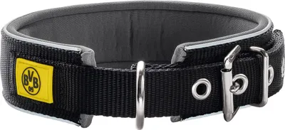 Produktbild von Hunter Halsband Neopren Reflect BVB schwarz/gelb