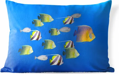 Produktbild von MuchoWow® Outdoor Kissen - Fische - Tropisch - Gruppe - 60x40 cm - Wetterfest - Lounge Kissen - Zierkissen - Kissen für Innenräume