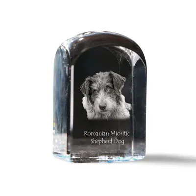 Produktbild von Art-Dog Briefbeschwerer Ciobănesc Românesc Mioritic
