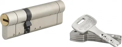 Image de Cylindre de serrure double entrée Federal S, 30x65mm, nickel, anti-arrachement, anti-perçage, 5 clés - THIRARD