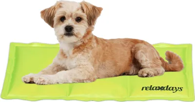 Image de relaxdays Tapis réfrigérant vert pour chiens
