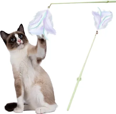 Productafbeelding van Kattenkruid