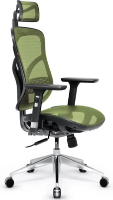 Obrázok produktu pre Diablo V-Basic Kancelárska Ergonomická Stolička Výkonná stolička Sieťovina nastaviteľné podrúčky výškovo nastaviteľné, Farba: Čierno-zelené