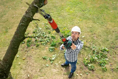Produktbild von Akku-Gartenschere AdvancedPrune 18V-45 Verlängerungsstange
