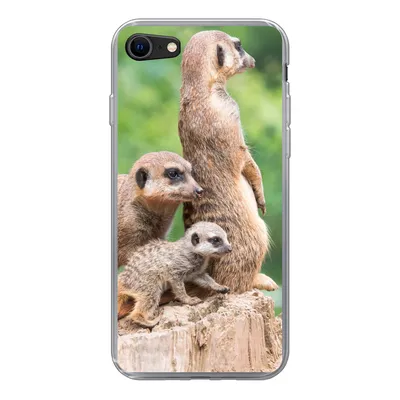 Produktbild von MuchoWow® Handyhülle Schutzhülle Hülle für iPhone SE 2022 Erdmännchen - Baumstumpf - Jungtier Silikon Softcase Handy Hülle - Schutzhülle