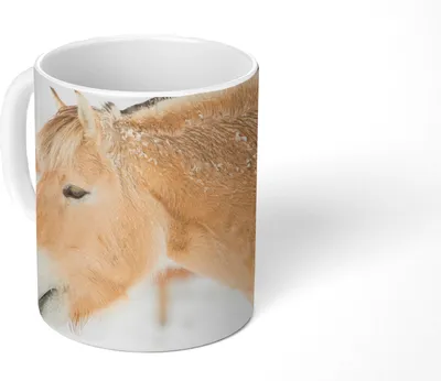 Produktbild von MuchoWow® Tasse Kaffeetasse Kaffeebecher 350 ml Nahaufnahme eines Fjordpferdes im Schnee Teetasse - Fototasse - Becher - Keramikbecher - Teebecher - Kaffeetasse - Bürotasse
