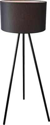Produktbild von Olucia - JANOU - Stehlampe - Schwarz