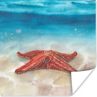 Produktbild von MuchoWow® Poster Seestern - Aquarell - Meer 75x75 cm - Wand Dekoration