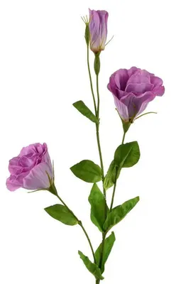 Productafbeelding van Viridis Kwiat Kunstbloem Eustoma, 70 cm, met rubberen coating