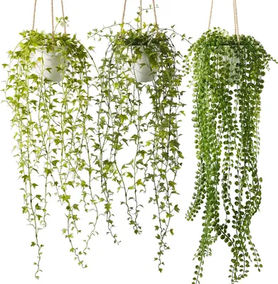 Image de 3 plantes artificielles en pot, de 94 cm et 88,9 cm de hauteur, avec des pots blancs, idéales pour un salon