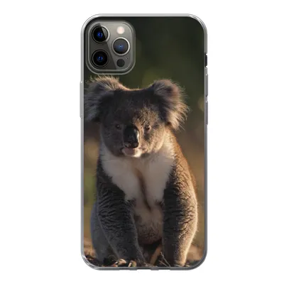 Produktbild von MuchoWow® Handyhülle Schutzhülle Hülle für iPhone 12 Pro Max Koala - Sonne - Tier - Kinder - Jungen - Mädchen Silikon Softcase Handy Hülle - Hartschale