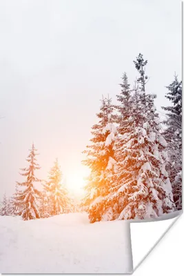 Produktbild von MuchoWow® Poster Sonne - Bäume - Schnee 120x180 cm - Kunstposter