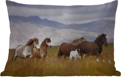 Produktbild von MuchoWow® Outdoor Kissen - Pferde - Gras - Berge - 60x40 cm - Wetterfest - Lounge Kissen - Zierkissen - Kissen für Innenräume