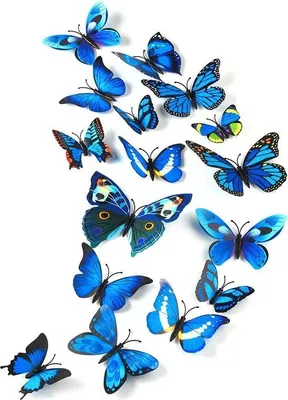 Produktbild von Famanu Wandsticker Schmetterlinge - Blau