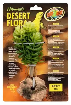 Productafbeelding van Zoo Med Burro's Tail kunstplant voor terrarium 11 cm met rotsbasis