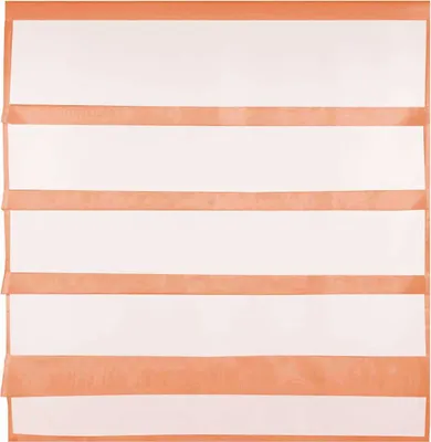 Produktbild von Gardine Raffoptik mit Stangendurchzug, Größe: 100x110cm, Farbe: Apricot
