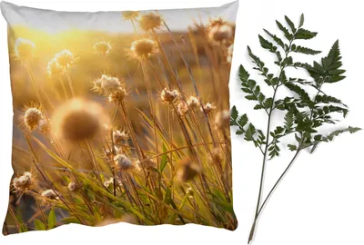 Produktbild von MuchoWow® Zierkissen Sofakissen Wohnzimmer Dekokissen 50x50 cm Pflanzen - Natur - Blumen - Sonne - Horizont - Komfort - Sofakissen
