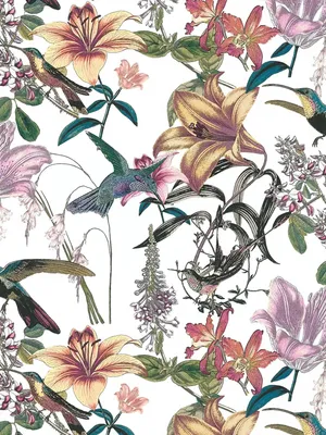 Produktbild von Bunte Blumentapete mit Kolibri Design – Bunt, Grün, Gelb