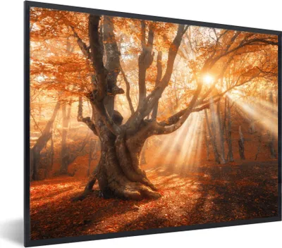 Produktbild von MuchoWow® Gerahmtes Poster Baum - Natur - Herbst 40x30 cm - Poster mit Schwarzem Bilderrahmen Wandposter Rahmen Foto Bilder - Kunstposter - Wanddekorationen