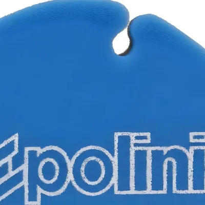 Produktbild von Luftfilter Einsatz Polini für Piaggio ZIP SP
